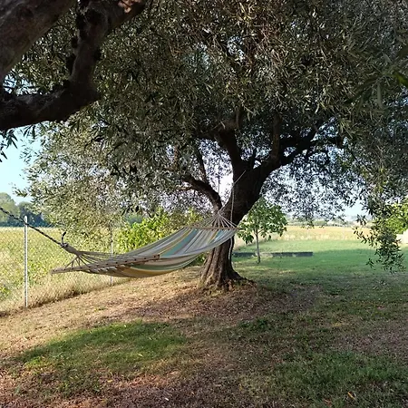 Relax Nel A 5 Minuti Dal Mare In Dentro Con Giardino