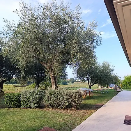 Relax Nel A 5 Minuti Dal Mare In Dentro Con Giardino *